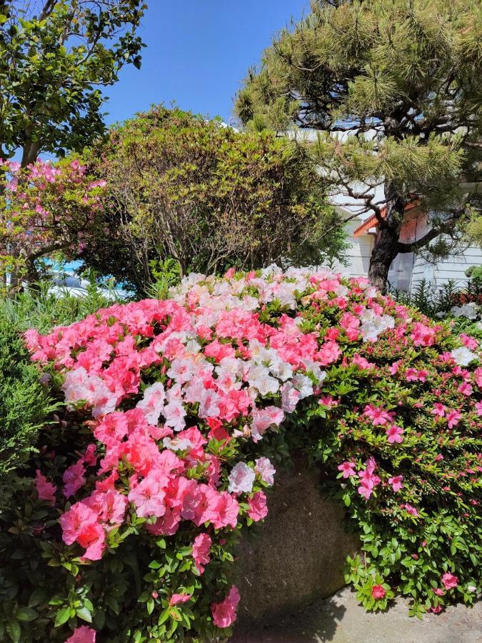 Jnw Minbak Otel Damyang Dış mekan fotoğraf