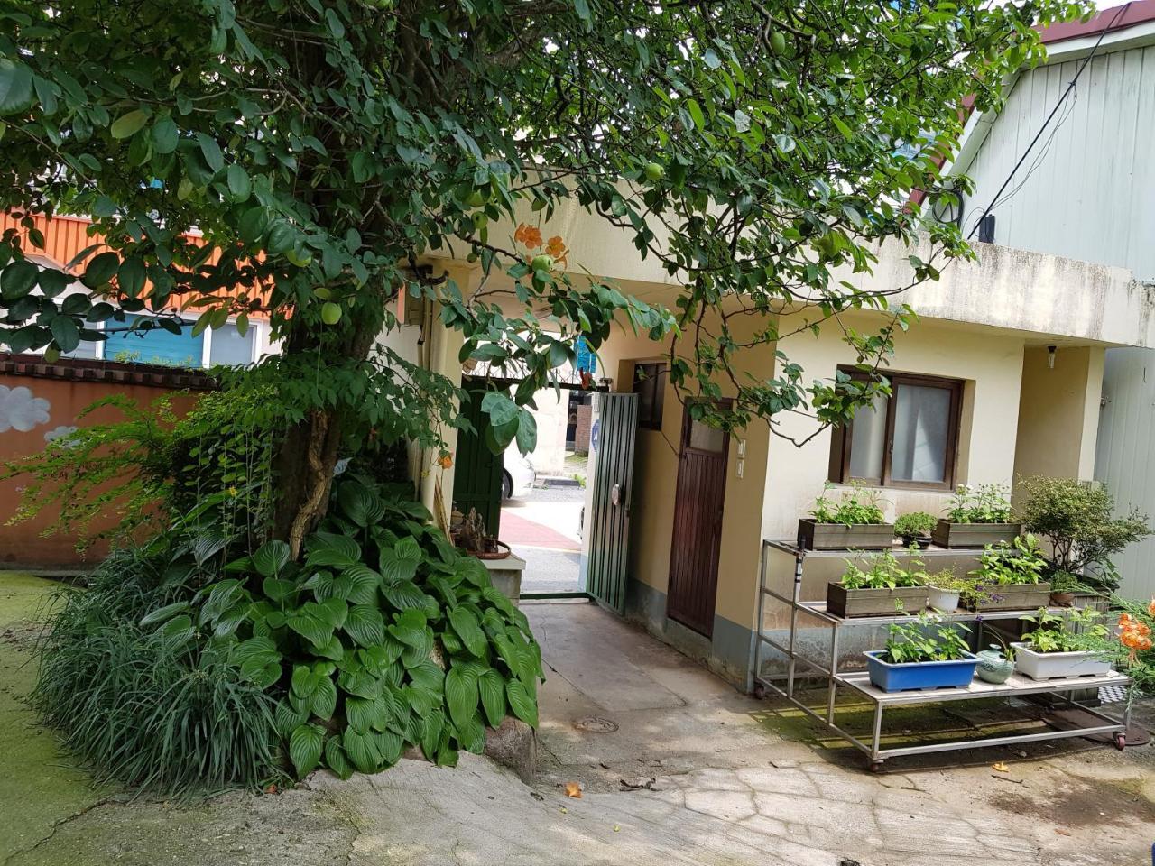 Jnw Minbak Otel Damyang Dış mekan fotoğraf